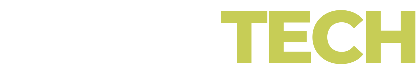 LOGO_LENO_TECH_BIALE